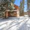 Norwegian Cabin Charming 3 BDR with Forest Views - Breckenridge