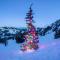 Bright 3BDR Near Beach and Slopes - كينغس بيتش