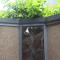 Magus Homestay