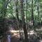 Prancing Horse Estates- 10 acres w/huge pool + spa - Montgomery