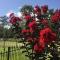 Prancing Horse Estates- 10 acres w/huge pool + spa - Montgomery