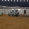 Margham Desert Safari Camp - Margham