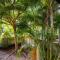 Little Yellow House- AoNang