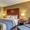Comfort Inn & Suites Grafton-Cedarburg