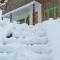 The Himalayan Inn homestay
