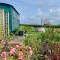 Shepherds Hut with Hot Tub North Wales Anglesey