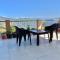 Himdarshan Homestay
