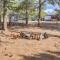 Heavenly Haven Treehouse - Palmer Lake