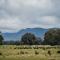 Northern Grampians Getaway - Dadswells Bridge