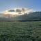 Tilba Farm Farmhouse