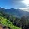 Rainbow homestay Munnar