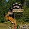 Chalets Alpins - 17 Chemin Alpin