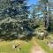 Le Parc aux Cedres