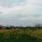 B&BLe Tre Gemme - Montechiarugolo