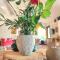 Loft Carriones