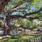 NEW! Canopy Cabana - Luxury Downtown Apartment