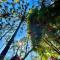 Cabana Suspensa na Natureza - Região Turística