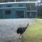 Daintree - House with a view - Cow Bay