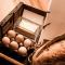 The Pickers Hut - Luxury Farm Stay