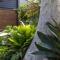 Coastal Oasis - Pet Friendly - 6 Mins Walk to Beach