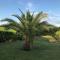 Casa San Pietro, restored farmhouse with pool