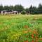 Domaine de la Vitarelle Glamping