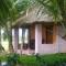 Paddy Homestay