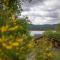 Loch Insh Chalets Ltd - Kincraig