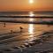 Almost Heaven OCEANFRONT D 3 Bd/3B FREE WIFI - Myrtle Beach
