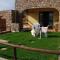 Ferienhaus in Torre Dei Corsari mit Terrasse und Meerblick - b56406