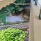 Apartment in a quiet location. - Atene