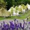 Glamp-Inn Kapolcs - Kapolcs