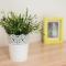 GuestReady - Amaryllis Apartment - Porto