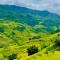 Mu Cang Chai Big view homestay - Sung Lu Chay