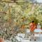 Berat Backpackers Hostel