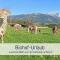 Biohof Burger, 3 sonnige Fewo, alle mit Balkon, Spielzimmer, Grillhütte, 7 km vor Oberstdorf