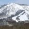 One Niseko Resort Towers