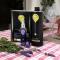 Marsy3 - Enchanting Lavender Farm Whole Property - Marsiliana