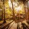 Riverglen Chalets