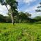 Cozy Cottage on hilltop near Conchal - Casa Huella - Matapalo