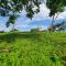 Cozy Cottage on hilltop near Conchal - Casa Huella - Matapalo