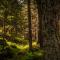 Nature Bio Hotel Elite