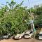 Ditar Guest House D