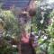 Karma Backpackers