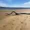 Driftwood Water Views Ocean Grove - Ошен-Гров