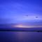 Bellarine Lake House Ocean Grove