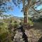 Mountains and Treetops Retreat - Nature Getaway - Lenah Valley