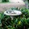 Kruger Park Farmstay near Orpen Gate - Hoedspruit