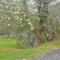 Pinewood Lodge