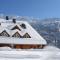 Chalet La Perle de L'Oisans - Appartements d'Exception - 沃雅尼